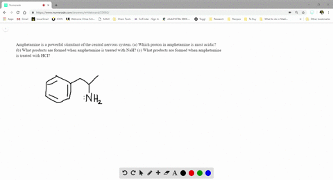 amphetamine-is-a-powerful-stimulant-of-the-central-nervous-system-a-which-proton-in-amphetamine-is-m