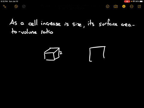 as-a-cell-increases-in-size-its-surface-area-to-volume-ratio-a-increases-b-decreases-c-stays-the-sam