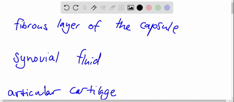 list-the-functions-of-the-following-elements-of-a-synovial-joint-fibrous-layer-of-the-capsule-synovi