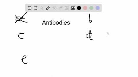antibodies-function-to-a-deactivate-the-complement-system-b-neutralize-natural-killer-cells-c-clum-2