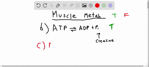 which-of-the-following-statements-about-muscle-metabolism-is-false-a-skeletal-muscles-at-rest-obtain