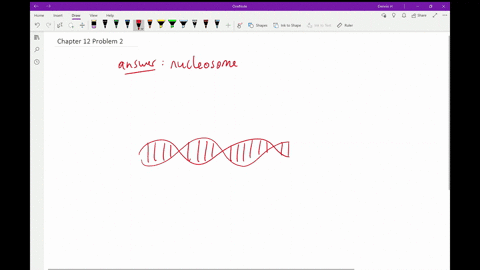 a-double-helix-consists-of-dna-wrapped-around-the-histone-proteins