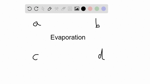 water-evaporation-from-plant-parts-is-called-_____-a-translocation-b-cohesion-c-transpiration-d-tens
