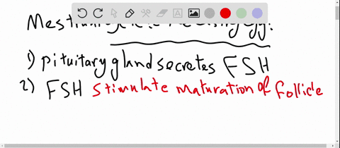 during-the-menstrual-cycle-a-midcycle-surge-of-_________-triggers-ovulation-a-estrogen-c-lh-b-proges