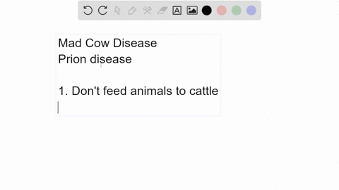 what-rules-would-you-suggest-to-prevent-the-spread-of-mad-cow-disease-bse