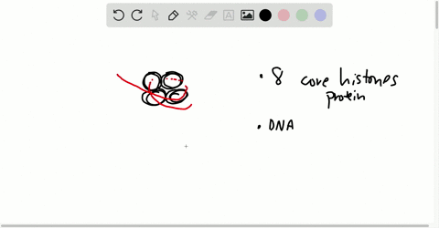 nucleosomes-are-a-composed-of-dna-and-protein-b-necessary-to-condense-dnachromosomes-c-essential-for