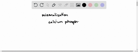 mineralization-of-bone-tissue-requires-_____-a-calcium-ions-b-osteoclasts-c-elastin-d-all-of-the-abo