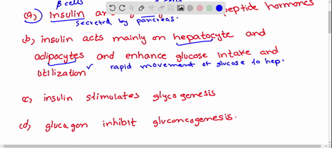 select-the-incorrect-statement-a-insulin-and-glucagon-are-peptide-hormones-b-insulin-acts-mainly-on-