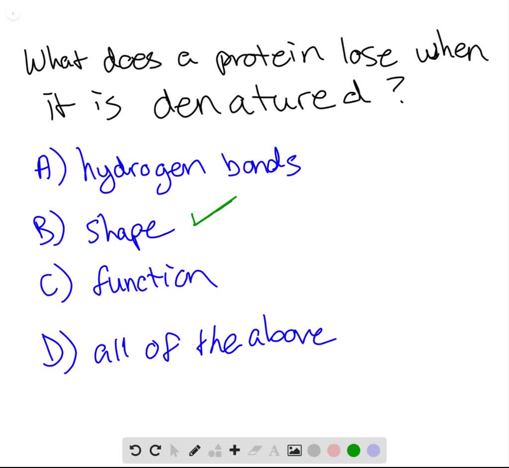 SOLVED A denatured protein has lost its . a. hydrogen bonds b. shape c