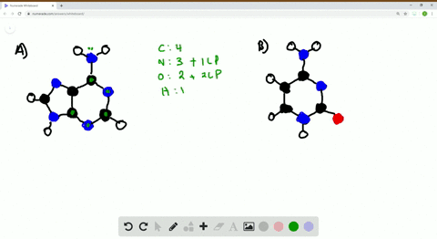 the-following-molecular-models-are-representations-of-a-adenine-and-b-cytosine-constituents-of-dna-d