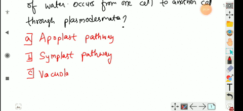 in-which-of-the-following-path-way-movement-of-weteross-from-one-cell-to-another-cell-through-plasmo