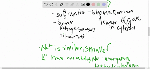 explain-how-the-crystal-structures-of-potassium-ion-channels-suggest-the-way-in-which-the-voltage--2