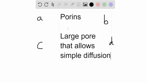 what-is-unique-about-porins-compared-to-most-other-integral-membrane-proteins-a-they-have-a-beta-bar