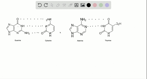 structure-and-function-in-biology-result-from-both-the-presence-of-genetic-information-and-the-expre