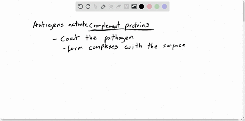 activated-complement-proteins-______-a-form-pore-complexes-b-promote-inflammation-c-attract-phagocyt