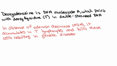 why-is-deoxyadenosine-toxic-to-mammalian-cells