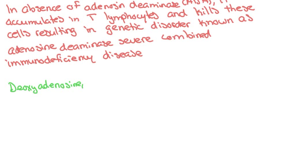 SOLVED:Why is deoxyadenosine toxic to mammalian cells?