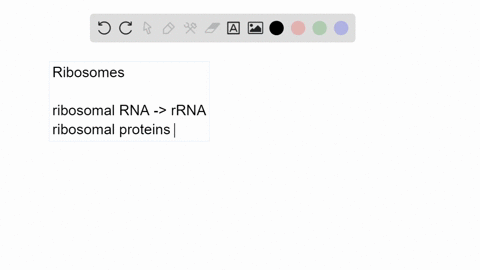 The Mystery Of Ribosome Color Finally Solved - 8ske50c