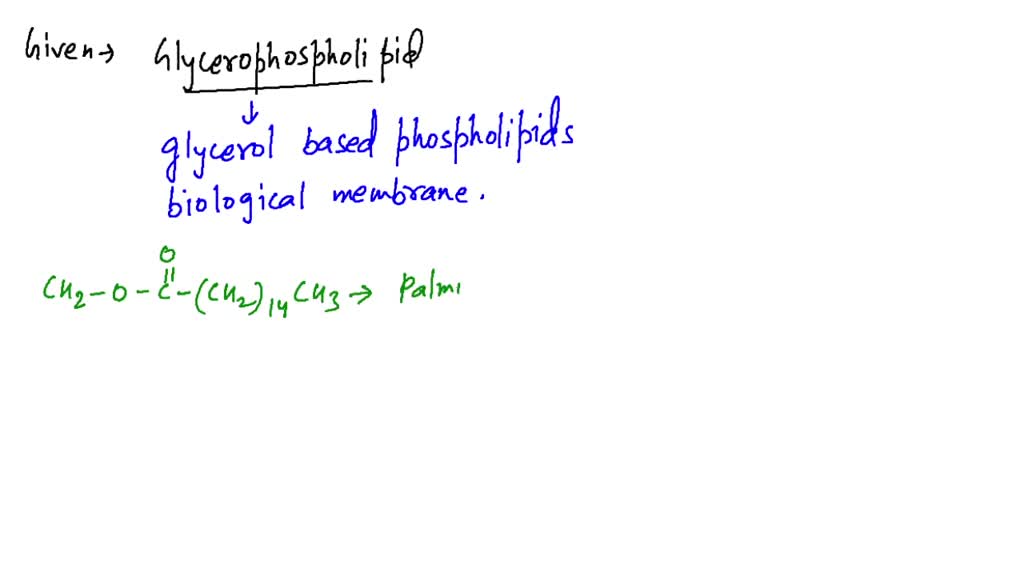 SOLVED Draw The Structure Of A Glycerophospholipid That Contains Palmitic Acid Oleic Acid And