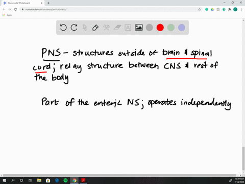 which-of-these-structures-is-not-under-direct-control-of-the-peripheral-nervous-system-a-trigeminal-