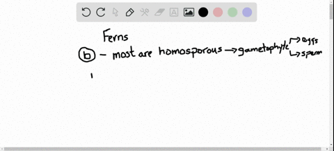 which-statement-about-ferns-is-not-true-a-the-sporophyte-is-larger-than-the-gametophyte-b-most-are-3