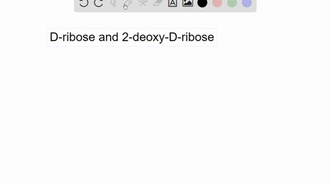 what-is-the-difference-in-structure-between-d-ribose-and-2-deoxy-d-ribose-3