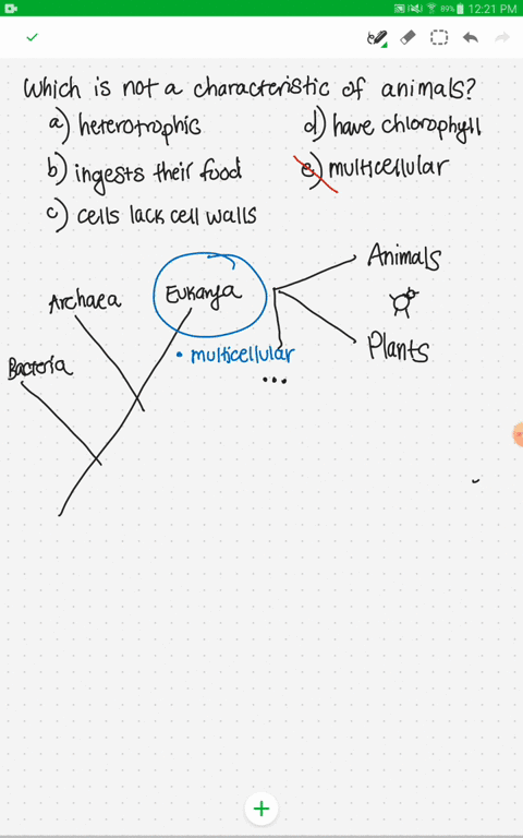 which-of-these-is-not-a-characteristic-of-animals-a-heterotrophic-b-ingest-their-food-c-cells-lack-c