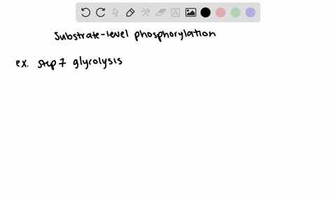 give-an-example-of-substrate-level-phosphorylation-in-a-pathway-other-than-the-citric-acid-cycle