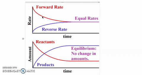 what-is-chemical-equilibrium