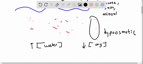 which-statement-about-osmoregulators-is-true-a-most-marine-invertebrates-are-osmoregulators-b-all-fr