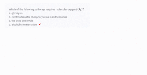 which-of-the-following-pathways-requires-molecular-oxygen-leftmathrmo_2right-a-glycolysis-b-electron