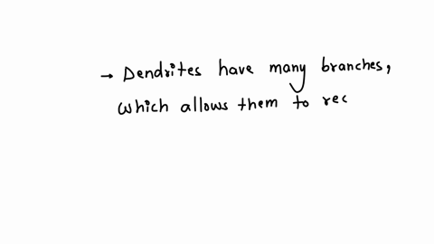 select-the-correct-answer-and-write-it-on-the-line-provided-the-______-are-the-root-like-structures