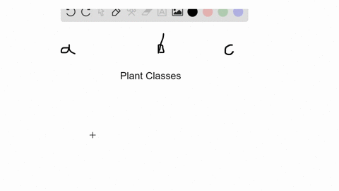 identify-the-plant-that-fits-the-description-use-each-answer-only-once-a-bryophytes-b-lycophytes-c-f
