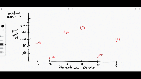 the-nitrogen-fixing-bacterium-rhizobium-infects-the-roots-of-some-plant-species-forming-a-mutualism-