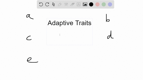 which-of-the-following-examples-describe-an-adaptive-trait-select-all-that-apply-a-a-rainforest-tree