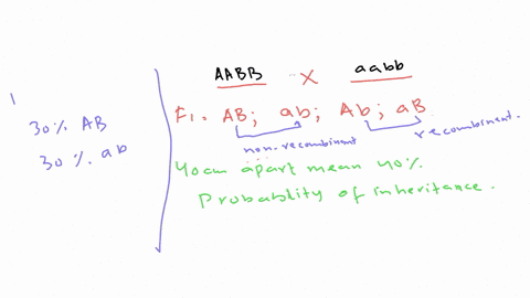 if-the-a-and-b-loci-are-40-mathrmcm-apart-and-an-a-a-b-b-individual-and-an-aa-b-b-individual-mate-a-
