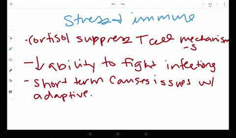 describe-how-stress-affects-immune-responses