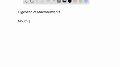 by-watching-this-animation-httpopenstaxcollegeorgfoodgroups-you-will-see-that-for-the-various-food-g