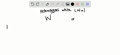 what-is-the-genotypic-ratio-of-the-offspring-in-the-cross-above-a-1-2-1-b-1-1-c-all-are-homozygous-r