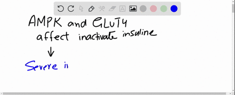 discuss-in-terms-of-ampk-activity-and-glut4-how-physical-inactivity-might-lead-to-insulin-resistance