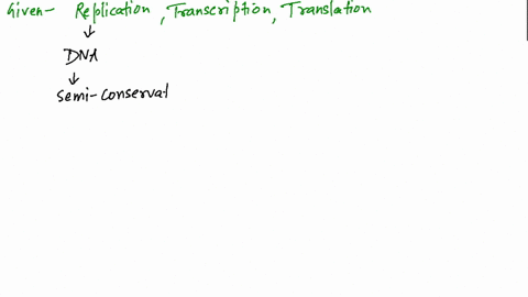 how-are-replication-transcription-and-translation-similar-how-are-they-different