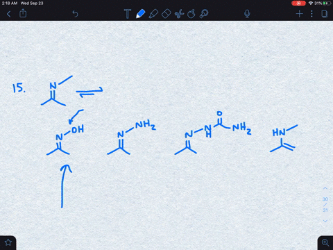 imines-naturally-tautomerize-to-form-a-oximes-b-hydrazones-c-semicarbazones-d-enamines-2