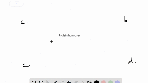 protein-hormones-typically-bind-to-receptors-__________-a-in-the-dna-b-in-mitochondria-c-at-the-plas