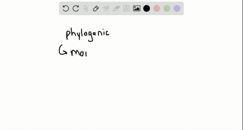 how-is-it-that-morphological-data-alone-might-lead-scientists-to-group-animals-into-erroneous-evolut