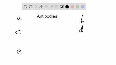 which-of-the-following-statements-about-antibodies-is-false-a-if-you-removed-the-fc-portion-antibodi