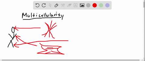 multicellularity-is-defined-in-part-by-the-presence-of-distinctive-cell-types-at-the-cellular-level-