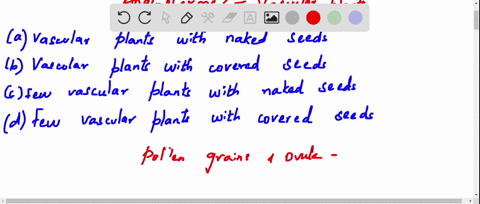 angiosperms-include-a-vascular-plants-with-naked-seeds-b-vascular-plants-with-covered-seeds-c-few-va