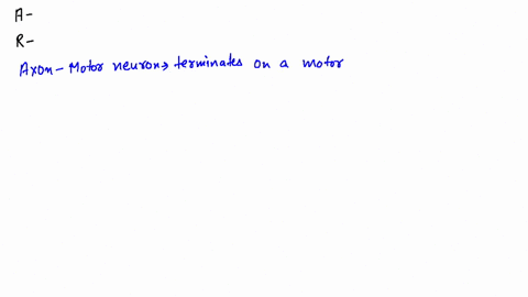 assertion-motor-neuron-terminates-on-a-motor-end-plate-at-the-neuromuscular-junction-reason-motor-en