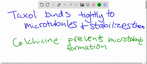 the-drug-taxol-extracted-from-the-bark-of-yew-trees-has-an-opposite-effect-to-the-drug-colchicine-an