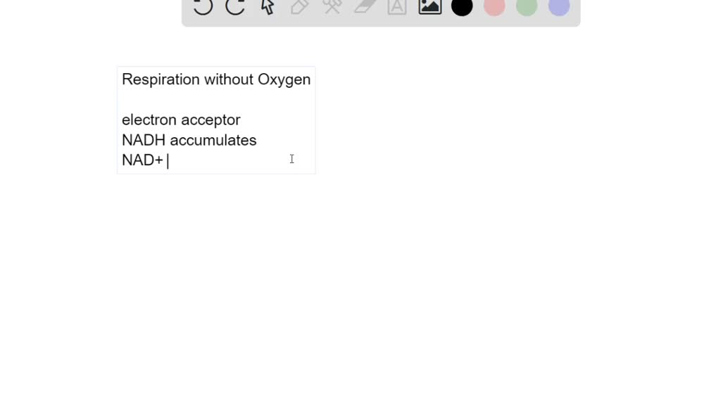 ⏩SOLVEDWhen muscle cells run out of oxygen, what happens to the
